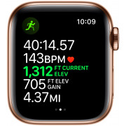Apple Watch Series 5 Gold